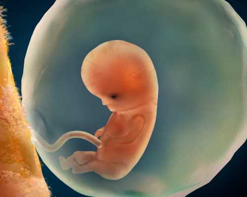 古玩虫儿电视剧免费_艺术品市场回归常规尚需要一些时日