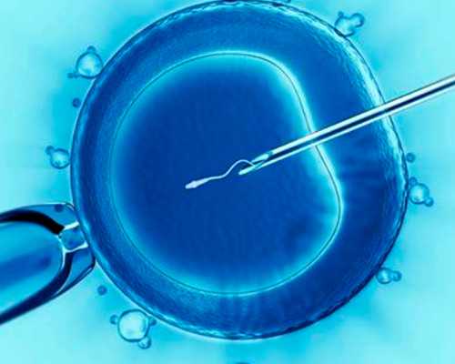 厦门寄香港验血假_香港几个月查男女准吗_只要2600被骗了