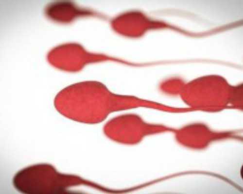 如何判断香港验血机构官网_怀孕一个多月去香港查性别,原来你不知道的还有