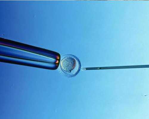 古玩私人交易_动画片《北京地名故事》：用中国风动画传递中华韵味