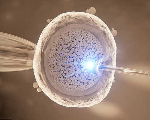 单身女性赴澳大利亚做试管婴儿~高成功率代孕公司