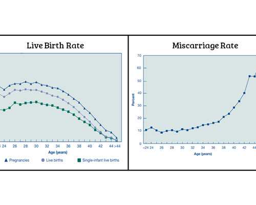 香港可以验血检查性别多少钱_香港时代化验所验血单,查男女哪个化验所最准确