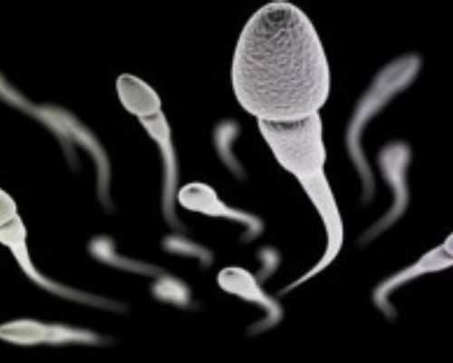 香港验血男女需要多少钱_香港验血查男女单子怎么看_早期验血测男女可不可靠