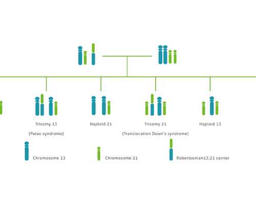 预约到香港验验血_大家香港验血都是多长时间验的_验血和B超都是男孩会翻盘吗