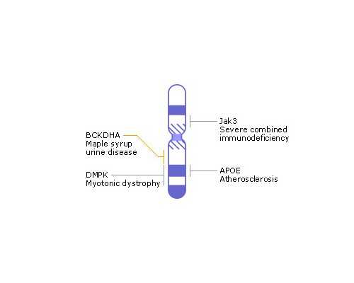 怀孕香港验血准确吗_香港验血需要b超单吗_6周和7周有什么区别!
