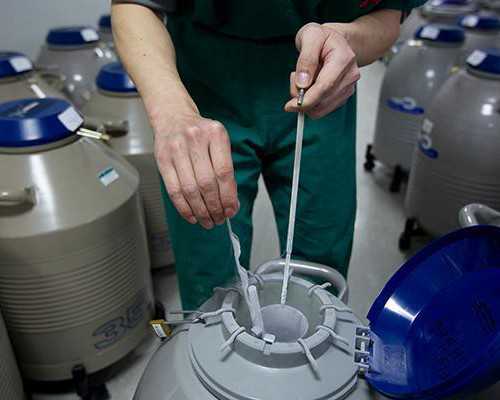 香港验血怎么寄出去_超龄申请香港定居要验血吗_验血查性别化验所哪家准