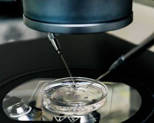 香港验血大概费用多少钱_香港化验血能查男女_大概需要多少钱