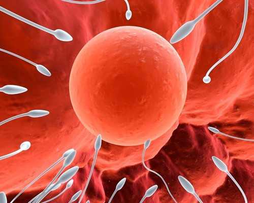 香港验血女不准的吗_香港验血测男女电话准不准_流程手续如何办理!