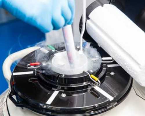 香港验血查男女中介真的吗_香港验血查男女空腹会不会不准_给你最详细的介绍