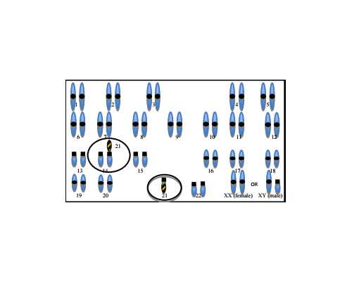 香港寄血验血骗局_香港验血性别检测中心_最具权威的验血机构是哪家!