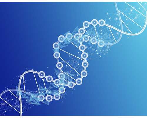 大陆寄血去香港验血会不会坏了_香港多少天抽血查男女_性别鉴定详细流程说明