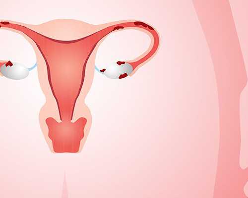 香港验血多少钱怀孕_香港验血男女_该如何预约验血查男女!