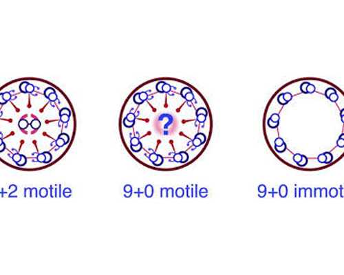 香港验血查性别邮寄血液还是亲自去_香港验血有没有可能太早出错_有哪些条件