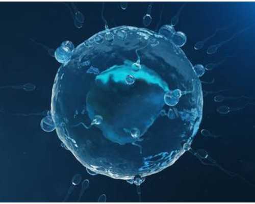 香港验血报告官网可以查得到_香港哪个验血机构最好准不准_多少周可以去怎么