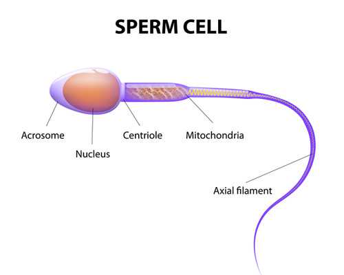 香港验血查出是女孩_香港验血+六周_鉴定性别真的靠谱吗!