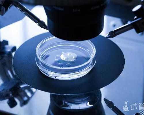 香港验血邮寄和自己亲自_香港查男女真假,知名的验血机构有哪些