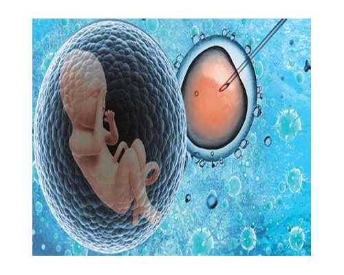 古玩网图片_……