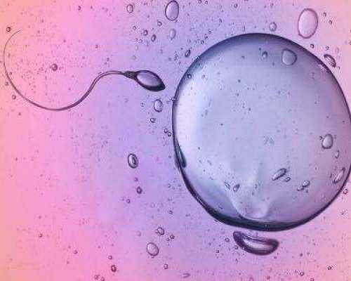 香港验血雅高达官方网_香港化验血能查男女_验血查男女真相在这里!