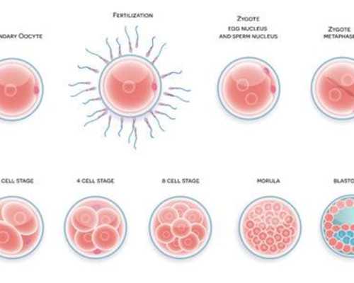香港验血是统一价格吗_香港验血ve11个_香港验血报告怎么看!