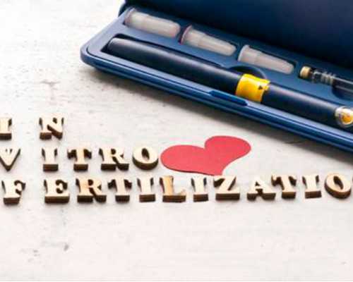 香港验血纸质报告多久寄出来_《蚊子和狮子》原文是什么?蚊子和狮子原文