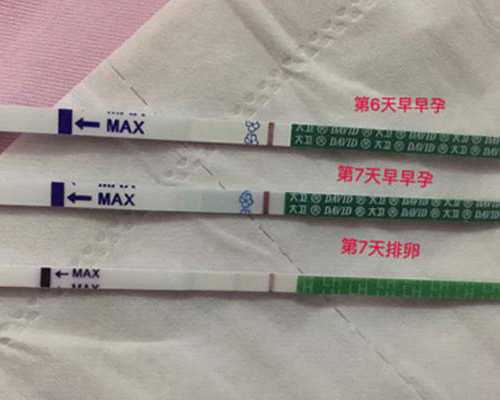 试管怀孕香港验血准吗_《童年》读后感200字2篇童年读后感400字