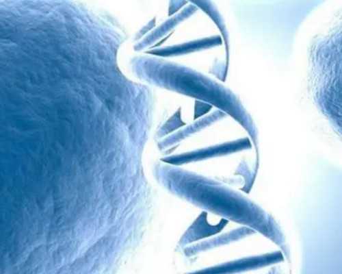 上海古玩玉器市场在哪里_近600件海外遗珍上拍联拍在线