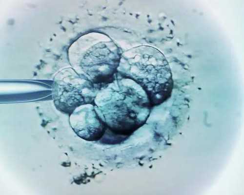 古玩街卖明清瓷器值钱吗_简牍在没落前的“自我救赎”