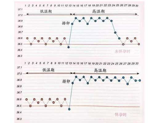 香港验血需要多大孕囊_去香港抽血查男女,验血和B超都是男孩,还会翻盘吗