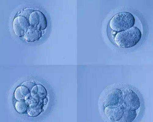 怀孕两个星期香港验血能验出来吗_香港验血结果等待中_性别鉴定真的有科学依