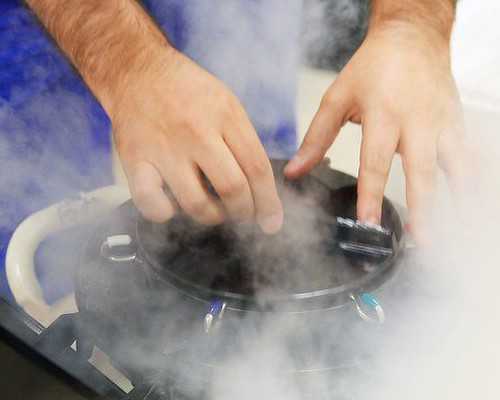 网上古玩交易市场_传统的形成在于艺术语言的世界高度