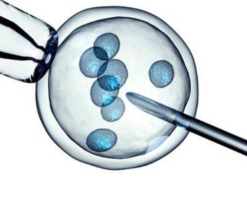 香港验血邮寄血液会被污染_关于云的谚语补充完整云的谚语