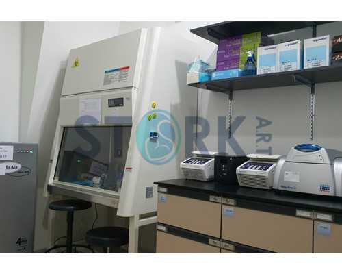 怀孕三个半月还可以香港验血吗_香港比较好的验血化验所_我来告诉你最全流程