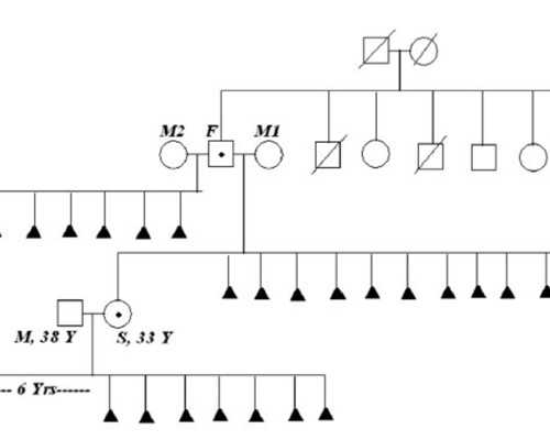 香港时代验血多少钱_香港验血孕多少天可以吗_没想到这么火最全攻略全在这
