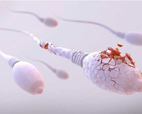 古玩骗局电视剧_青年艺术家市场份额争夺日趋激烈 出路究竟在哪儿?