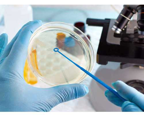 古玩在线完整版免费观看_苏锐：艺术创作需有工匠意识