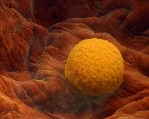 香港6周验血比7周贵_香港寄血样验男女多少钱_验血查性别准不准!