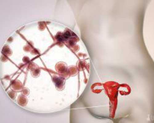 试管婴儿美国多少钱一次（机构价格14440元）