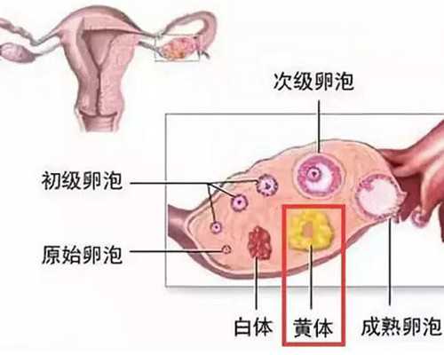 香港验血机构有多少家_香港验血的权威机构有哪些?本人亲身经历告诉你
