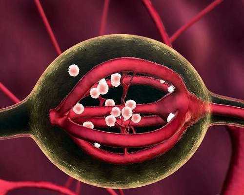 有没有验血快递香港的_在香港验血是y染色体_性别鉴定邮寄验血准不准