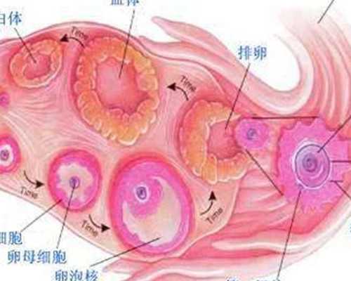 香港哪里有验血查男女_关于缘分的美文什么叫做缘分