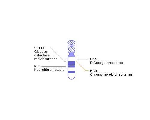 男人靠古玩发家致富是什么电视剧_麻辣香锅别少了藕片