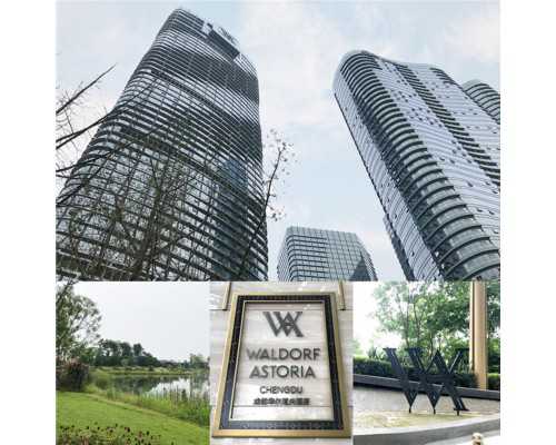 香港验血预约方式_关于植树的作文,600字左右写一篇植树节的作文