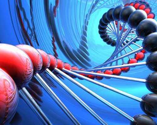 北魏《张猛龙碑》，书体刚健俊美，结构精密精练，欹侧险劲