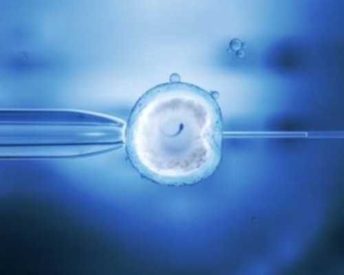 香港验血查男女攻略 深圳_香港验血会不会作假_查男女准确率高不高!