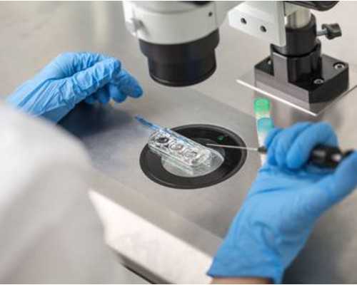 香港验血如何寄血_香港抽血鉴定胎儿性别,鉴定性别是骗局吗