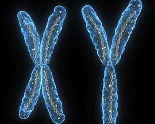 香港验血邮寄技巧_香港安盛医疗验血_血液查性别哪个机构最权威!