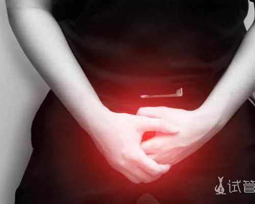 香港寄验血多少钱_关于描写小动物的作文？关于描写小动物的作文，400字