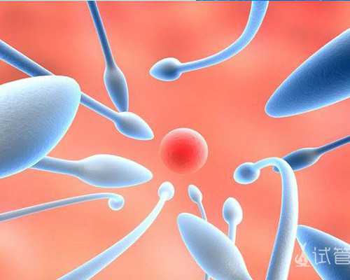 香港验血检测y是男孩还是女孩_香港验血结论是怎么看的准不准_验血没y生了男