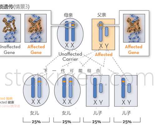 香港验血为什么非得怀孕七周_香港代购验尿查男女,验血准确率多高