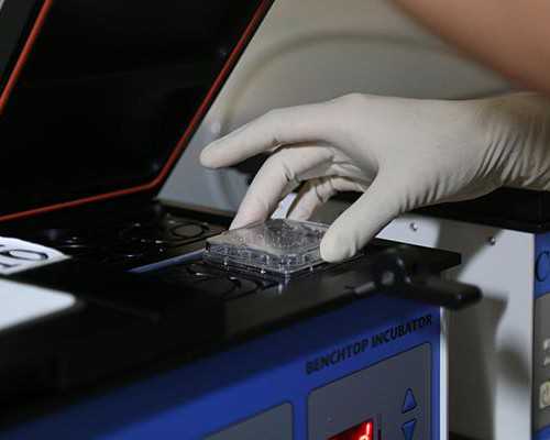 香港验血鉴定男女16周可以验吗_怀孕40天查血验男女准吗？该怎么验？我来告诉